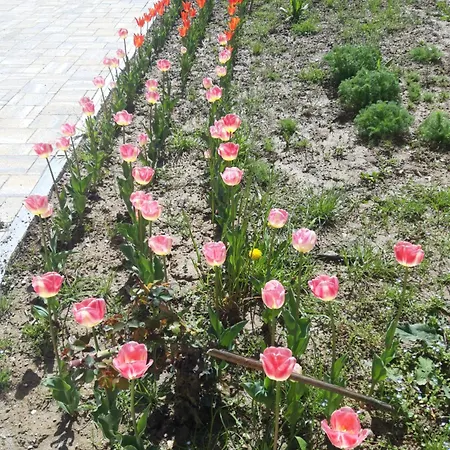 Bed & Breakfast Cascina Nuova Mombasiglio