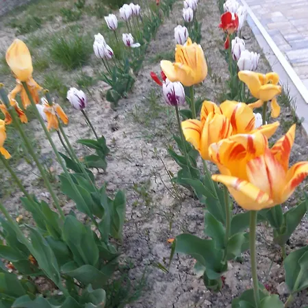 Cascina Nuova Bed & Breakfast